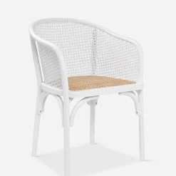 Lulu And Georgia Earth Tones Summer Dining Chair