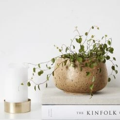 Lulu And Georgia Organic Harmony Collection Kenny Storage Container With Lid