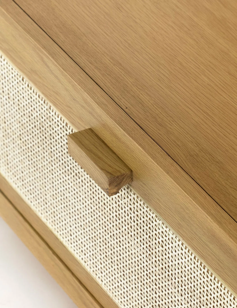 Lulu And Georgia New Verna Bookcase