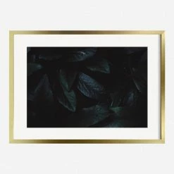 Lulu And Georgia Walls 'Still Life 3' Photography Print By Ashley Johnson