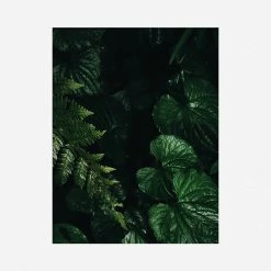 Lulu And Georgia'Still Life 14' Photography Print By Ashley Johnson Mossy Greens