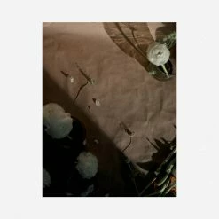 Lulu And Georgia'Still Life 1' Photography Print By Ashley Johnson Earth Tones