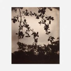 Lulu And Georgia 'Branche De Pommier' Print By Eugène Atget Earth Tones