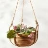 Lulu And Georgia Brandie Hanging Basket Outdoor Collection