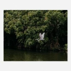 Lulu And Georgia 'Lake Nicaragua' Photography Print By Carley Rudd