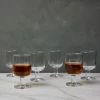 Lulu And Georgia Kitchen + Dining Costa Nova Safra Glasses (Set Of 6)