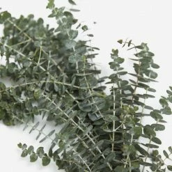 Lulu And Georgia Fresh Handmade Baby Blue Eucalyptus Garland Mossy Greens