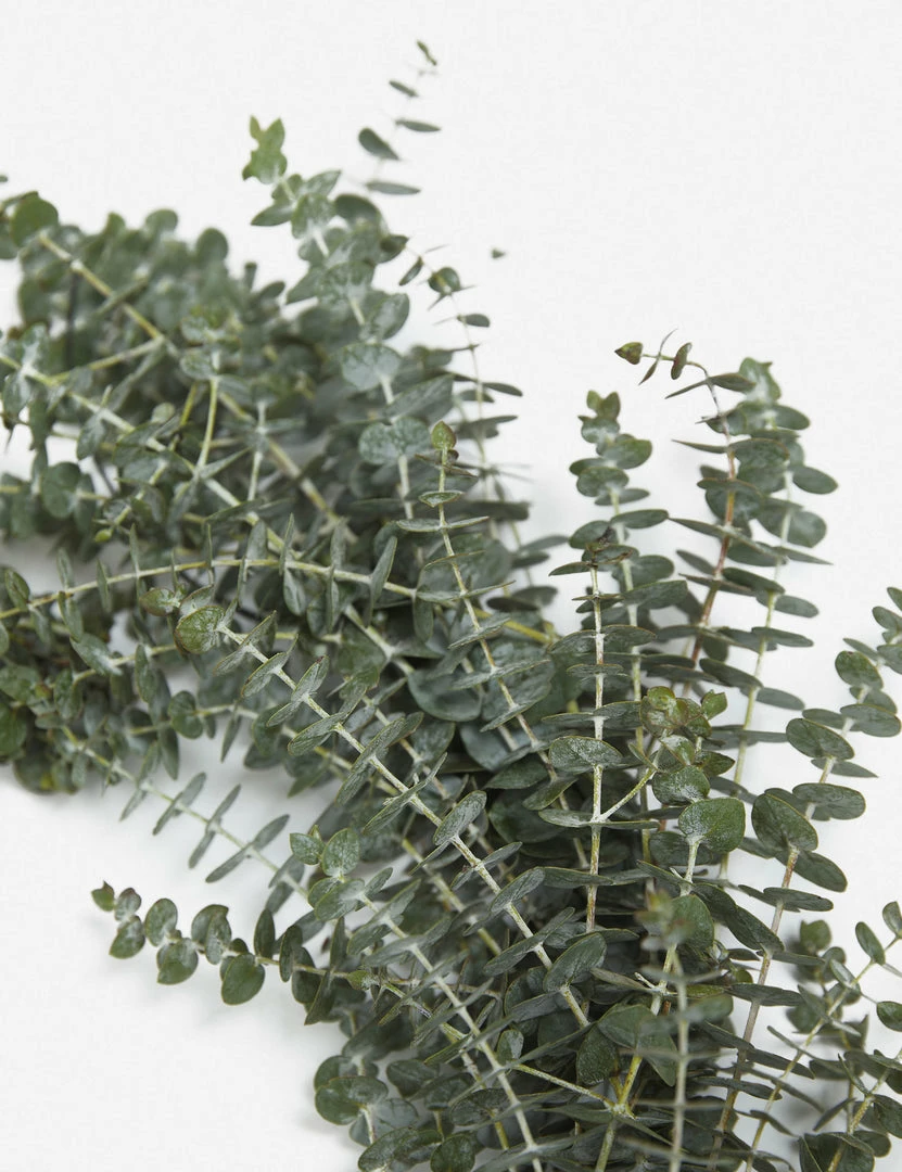 Lulu And Georgia Fresh Handmade Baby Blue Eucalyptus Garland Mossy Greens