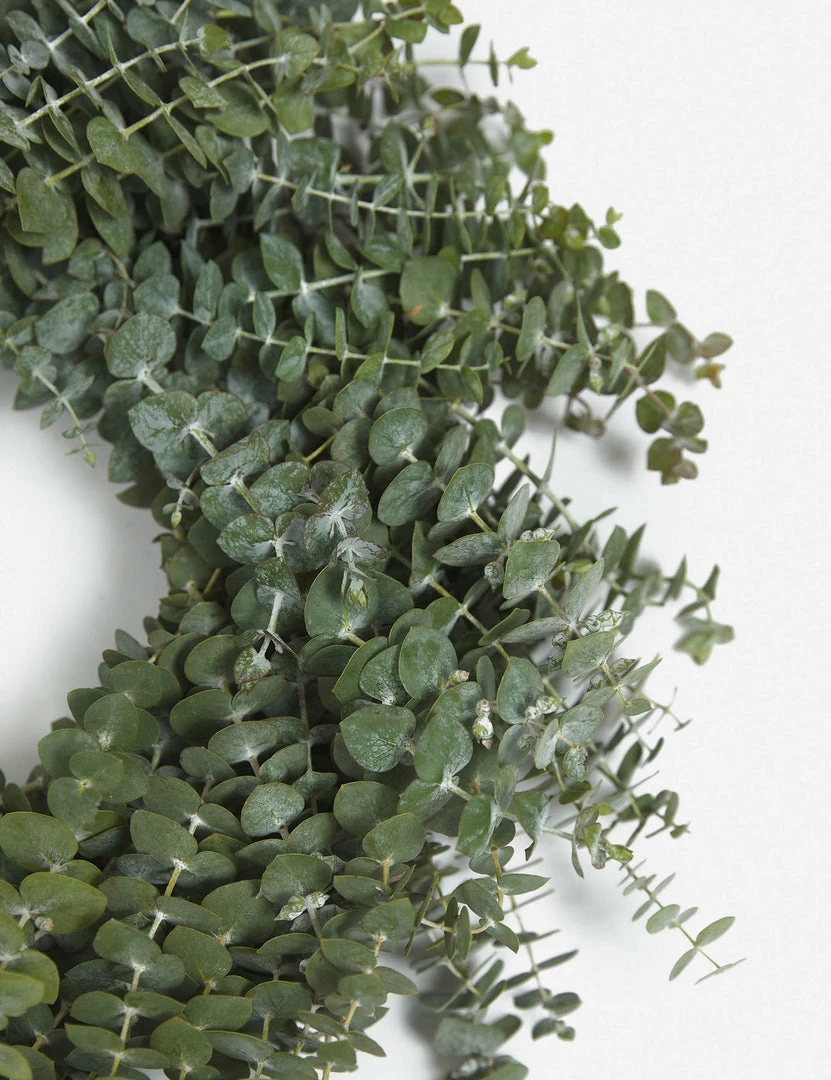 Lulu And Georgia Fresh Handmade Baby Blue Eucalyptus Garland Mossy Greens