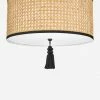 Lulu And Georgia Torres Flush Mount Light New