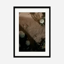 Lulu And Georgia 'Still Life 1' Photography Print By Ashley Johnson Earth Tones
