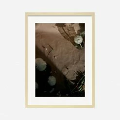 Lulu And Georgia'Still Life 1' Photography Print By Ashley Johnson Earth Tones
