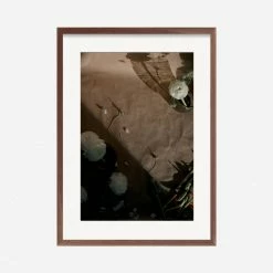 Lulu And Georgia'Still Life 1' Photography Print By Ashley Johnson Earth Tones
