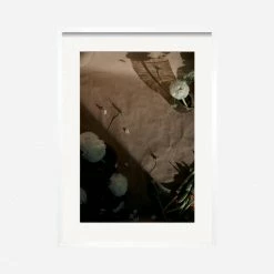 Lulu And Georgia'Still Life 1' Photography Print By Ashley Johnson Earth Tones