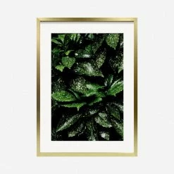 Lulu And Georgia 'Still Life 7' Photography Print By Ashley Johnson Mossy Greens