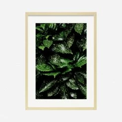 Lulu And Georgia'Still Life 7' Photography Print By Ashley Johnson Mossy Greens