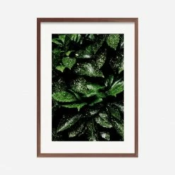 Lulu And Georgia'Still Life 7' Photography Print By Ashley Johnson Mossy Greens