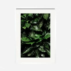 Lulu And Georgia'Still Life 7' Photography Print By Ashley Johnson Mossy Greens