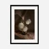 Lulu And Georgia 'Still Life 21' Photography Print By Ashley Johnson Earth Tones