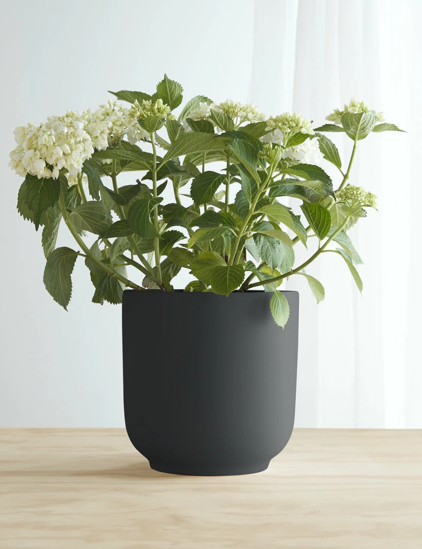 Lulu And Georgia LBE Design Ceramic Bell Shaped Planter