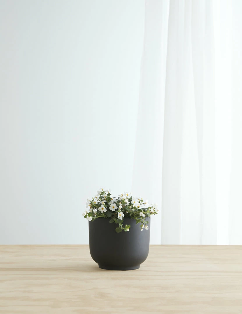 Lulu And Georgia LBE Design Ceramic Bell Shaped Planter