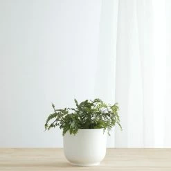 Lulu And Georgia LBE Design Ceramic Bell Shaped Planter