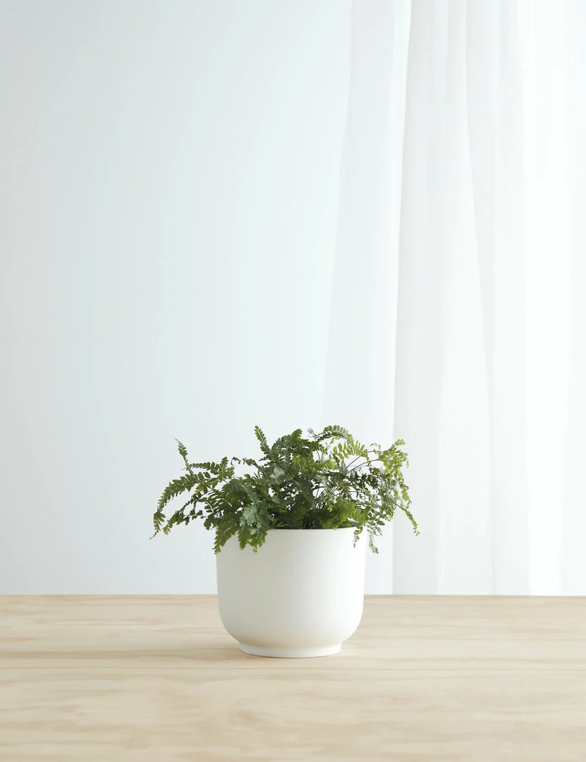 Lulu And Georgia LBE Design Ceramic Bell Shaped Planter