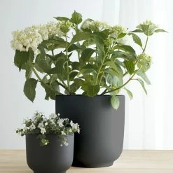 Lulu And Georgia LBE Design Ceramic Bell Shaped Planter