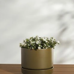 Lulu And Georgia LBE Design Ceramic Indoor / Outdoor Planter