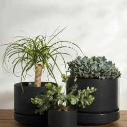 Lulu And Georgia LBE Design Ceramic Indoor / Outdoor Planter
