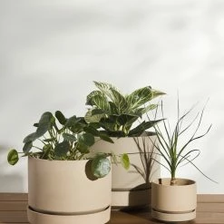 Lulu And Georgia LBE Design Ceramic Indoor / Outdoor Planter
