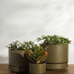 Lulu And Georgia LBE Design Ceramic Indoor / Outdoor Planter