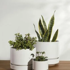 Lulu And Georgia LBE Design Ceramic Indoor / Outdoor Planter