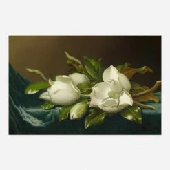 Lulu And Georgia Walls 'Magnolias On Light Blue Velvet Cloth' Print By Martin Johnson Heade
