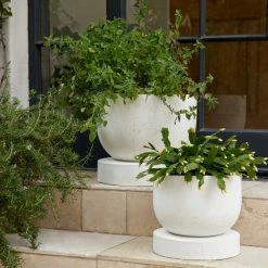 Lulu And Georgia Dreama Indoor / Outdoor Planter