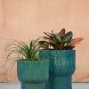Lulu And Georgia Tacoma Planter Outdoor Collection