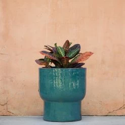 Lulu And Georgia Tacoma Planter Outdoor Collection