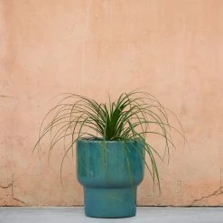 Lulu And Georgia Tacoma Planter Outdoor Collection