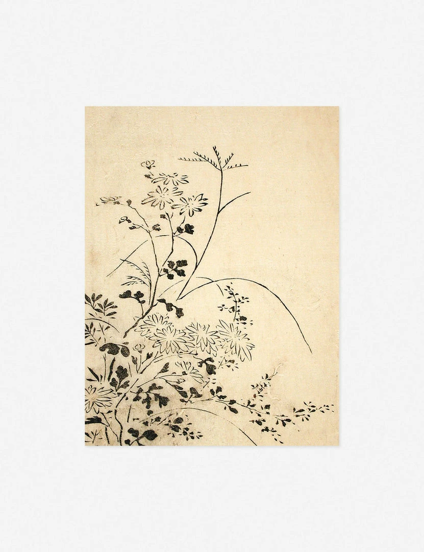 Lulu And Georgia 'Autumn Flowers And Grasses' Print By Miyazaki Yūzen