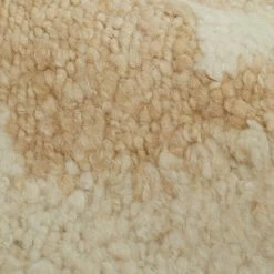 Lulu And Georgia Earth Tones Akara Rug