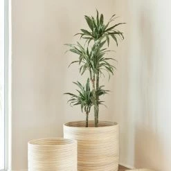 Lulu And Georgia Nimah Baskets (Set Of 2) Élan Byrd Collection