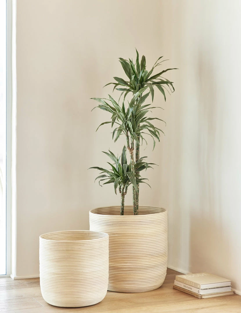 Lulu And Georgia Nimah Baskets (Set Of 2) Élan Byrd Collection