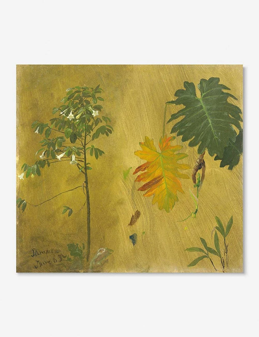 Lulu And Georgia Botanical Study, Jamaica' Print By Frederic Edwin Church