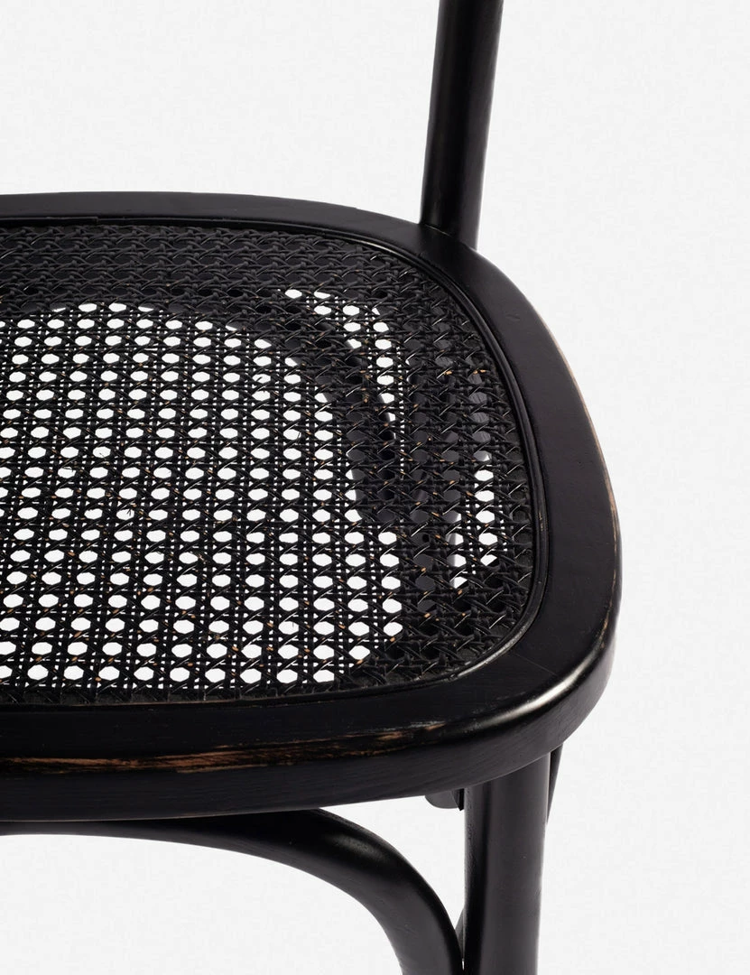 Lulu And Georgia Lotta Dining Chair, Set Of 2 Furniture