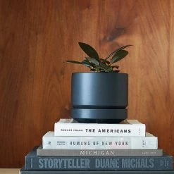 Lulu And Georgia LBE Design Ceramic Indoor / Outdoor Planter