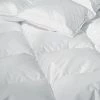Lulu And Georgia Bed + Bath Sweet Dreams Winter Down Duvet Insert